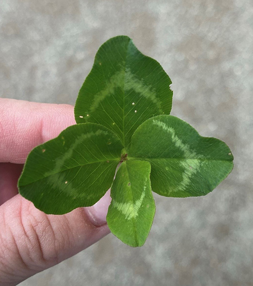 Vzdělání je budoucnost