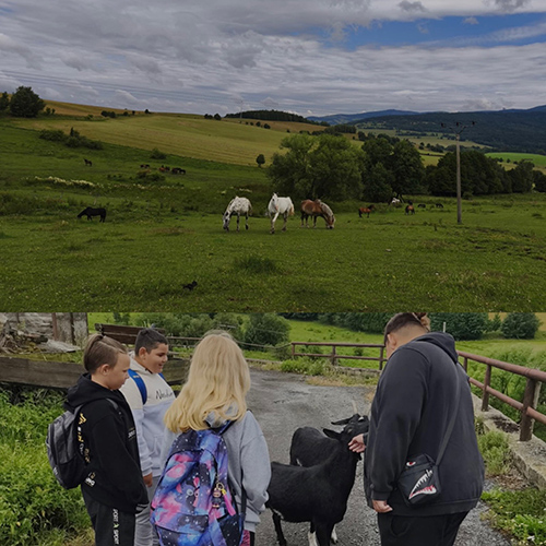 Na letní tábor s Bertíkem