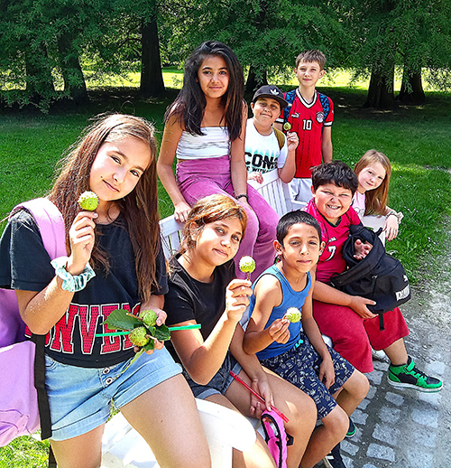 Bertíkův rok plný zábavy